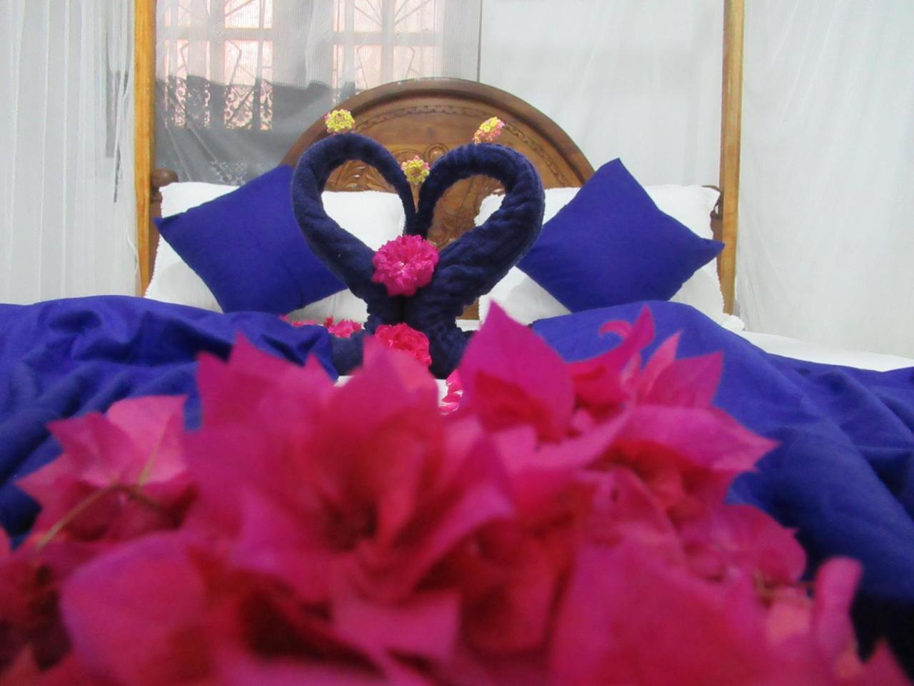 Timasha Home Stay Tangalle Zewnętrze zdjęcie